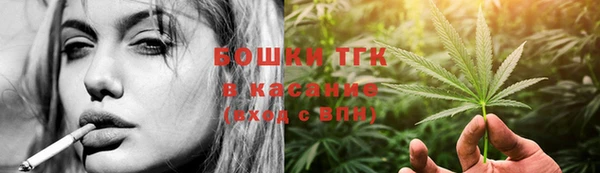 хмурый Козловка