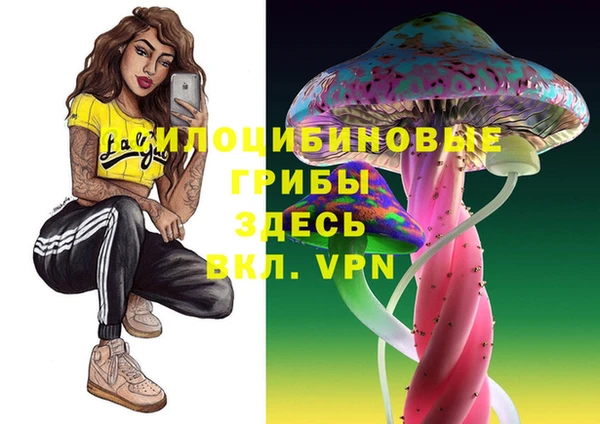 дживик Кодинск