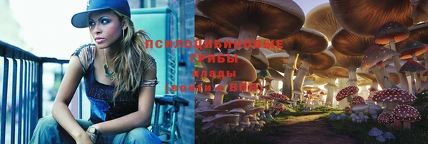 мет Козельск